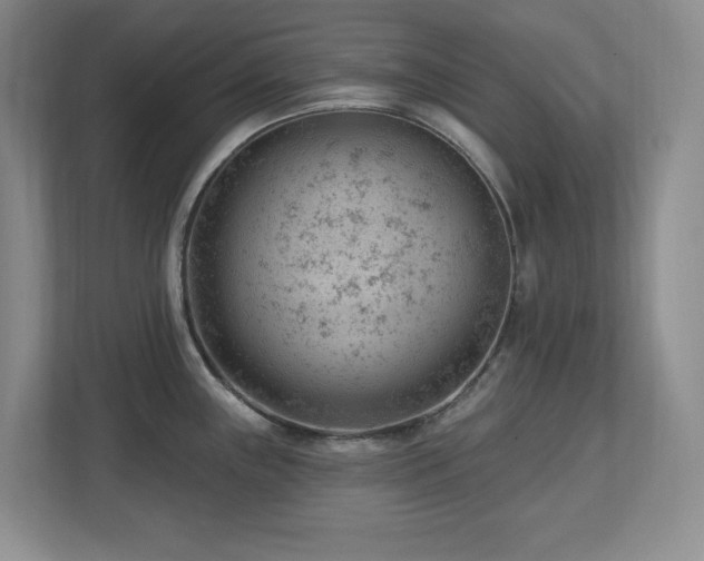 X0000112741243200908201340