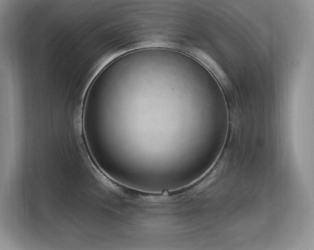 X0000112741244200908201340