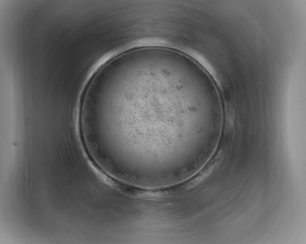 X0000112741245200908201340