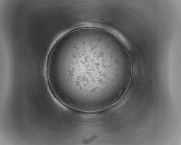 X0000112741247200908201340