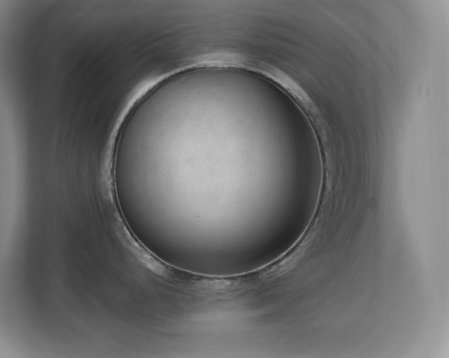 X0000112741248200908201340
