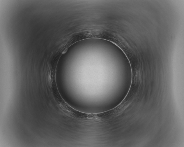X0000112741250200908201339