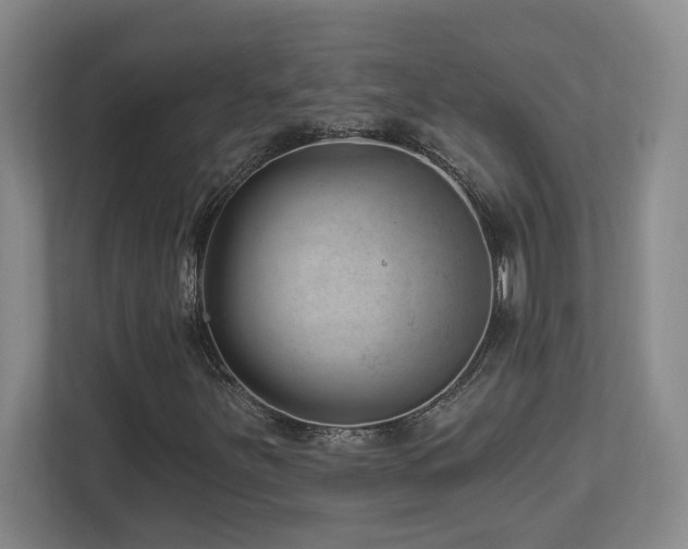 X0000112741251200908201339