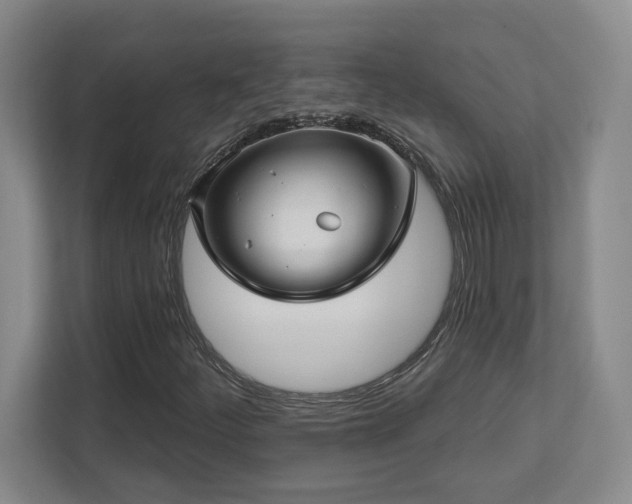 X0000112741252200908201339