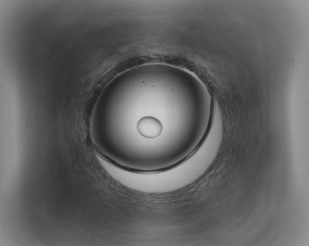 X0000112741253200908201339