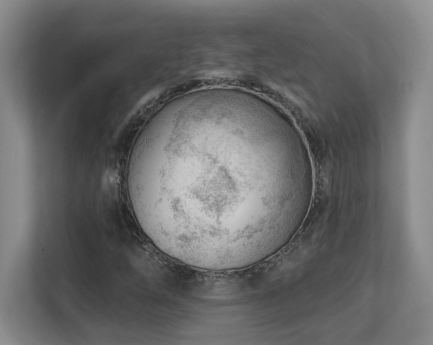 X0000112741254200908201339