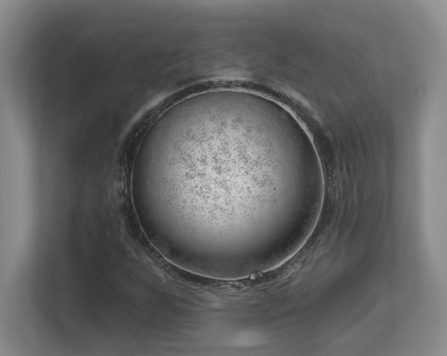 X0000112741255200908201339
