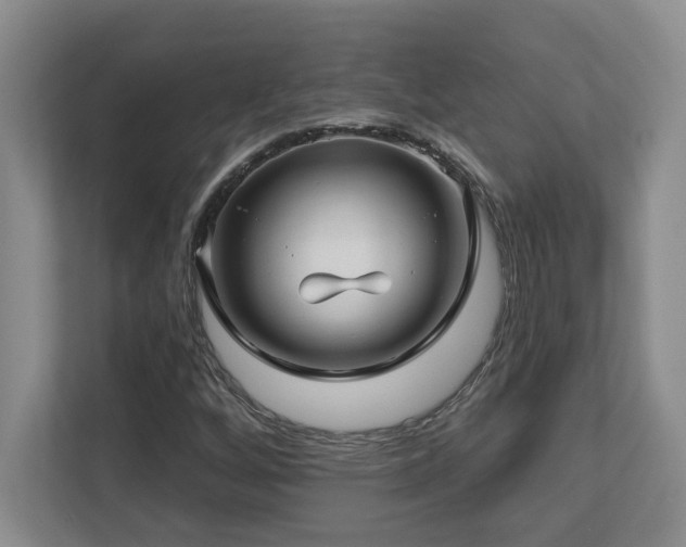 X0000112741256200908201339