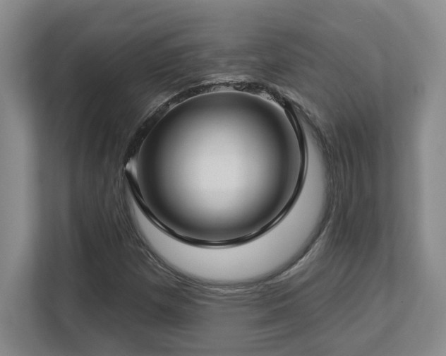 X0000112741257200908201339