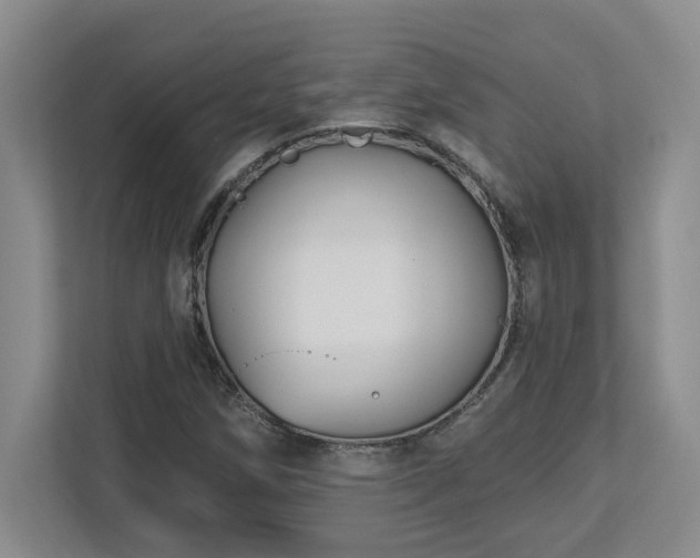 X0000112741258200908201339