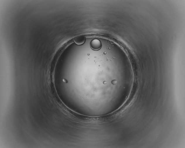 X0000112741259200908201339