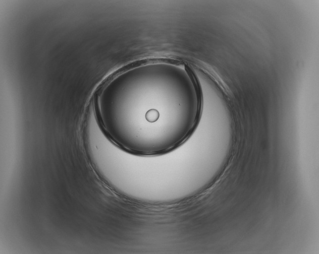 X0000112741260200908201339