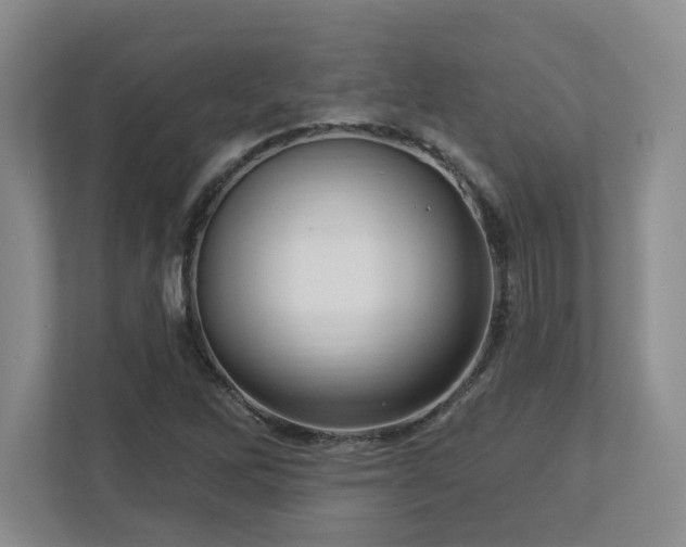 X0000112741262200908201339