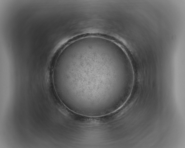 X0000112741263200908201339