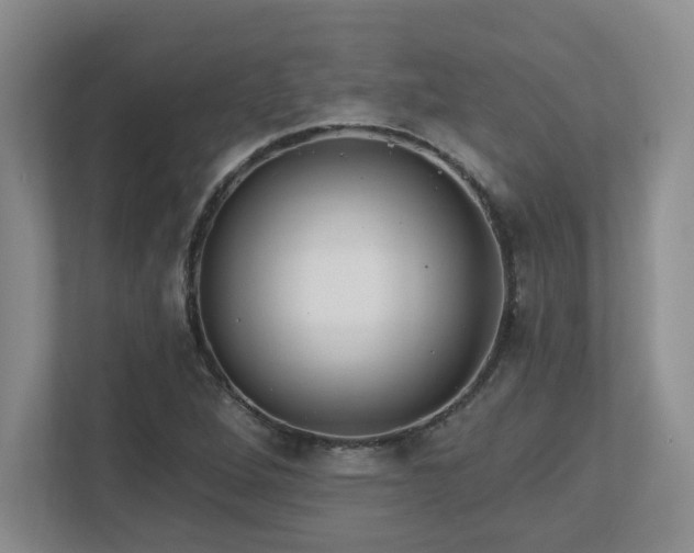 X0000112741264200908201339