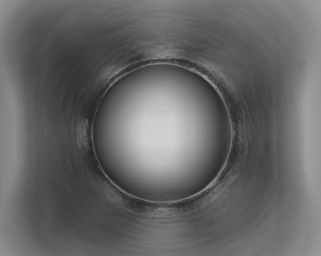 X0000112741265200908201339