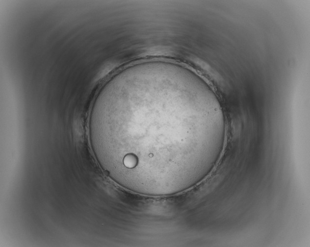 X0000112741266200908201339