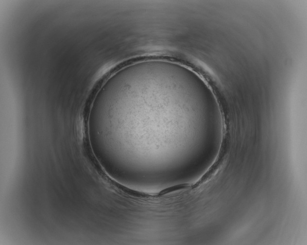 X0000112741267200908201339