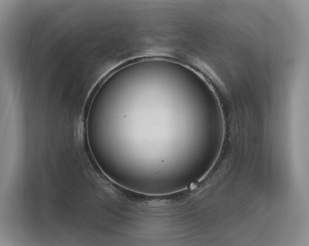X0000112741268200908201339