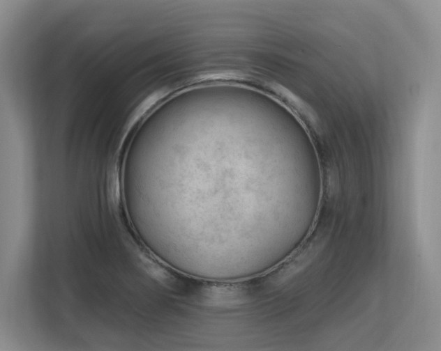 X0000112741274200908201339