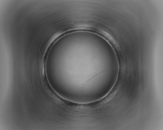 X0000112741275200908201339
