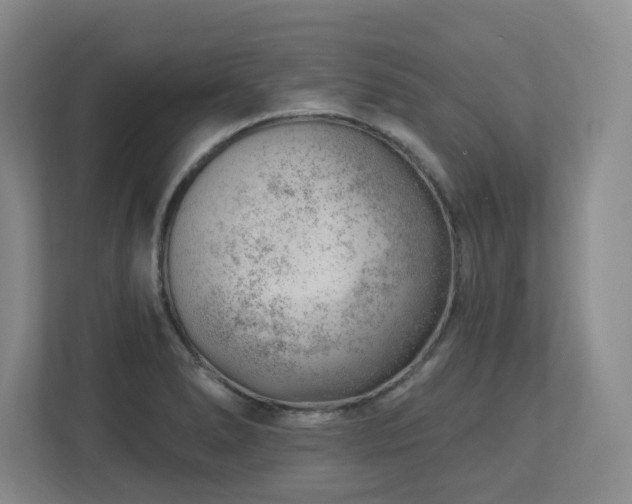 X0000112741278200908201339