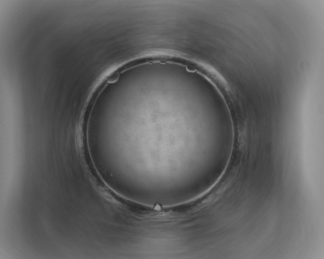 X0000112741279200908201339