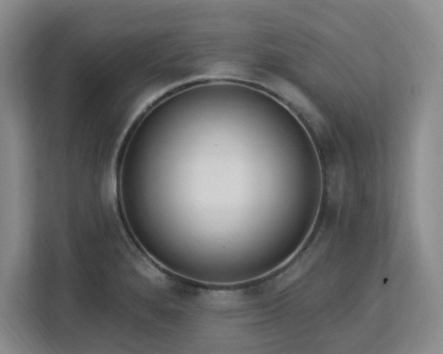 X0000112741280200908201339