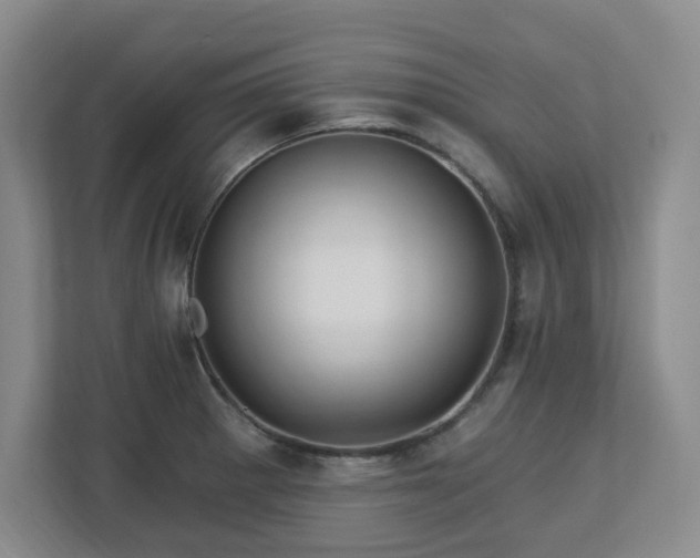 X0000112741281200908201339