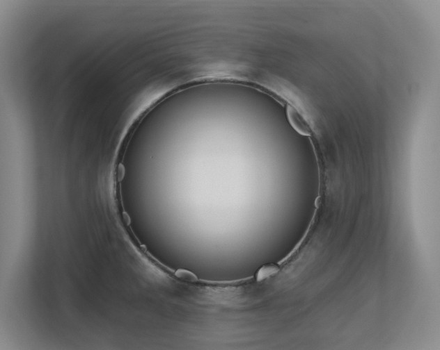 X0000112741285200908201339