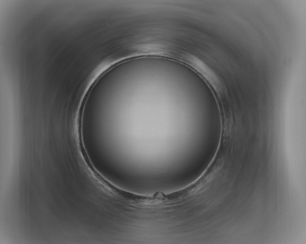 X0000112741291200908201339