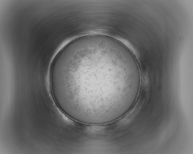 X0000112741294200908201339