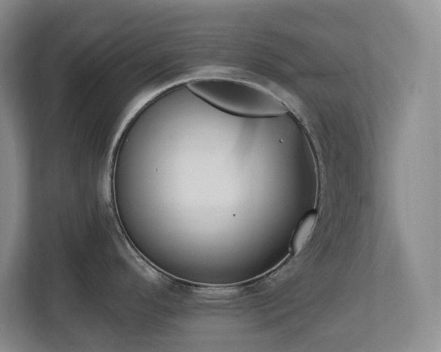 X0000112741296200908201339