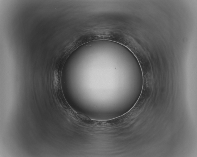 X0000112741298200908201338