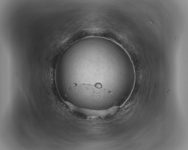 X0000112741301200908201338