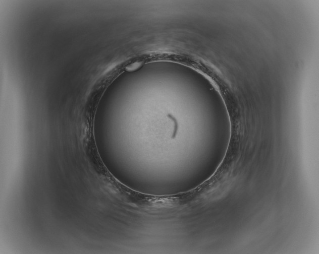 X0000112741303200908201338