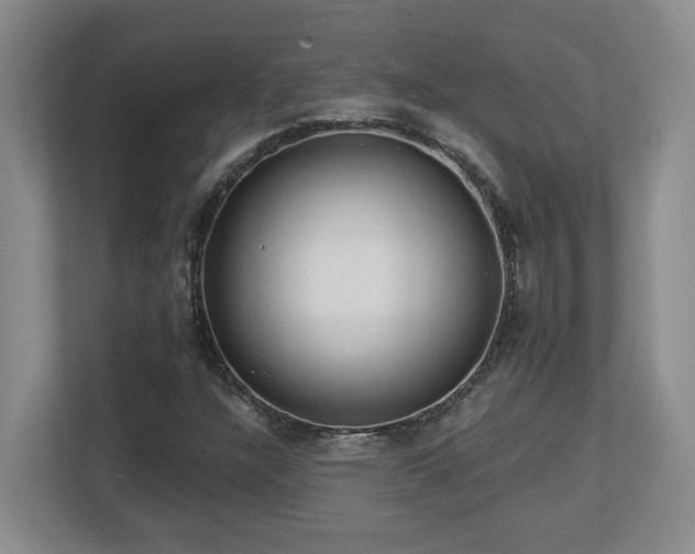 X0000112741304200908201338