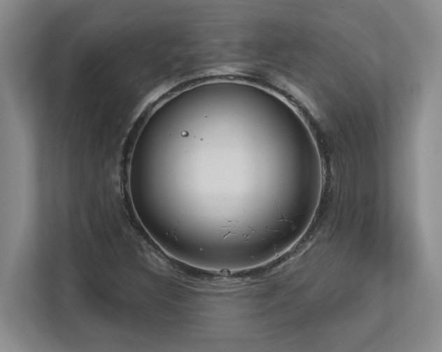 X0000112741308200908201338