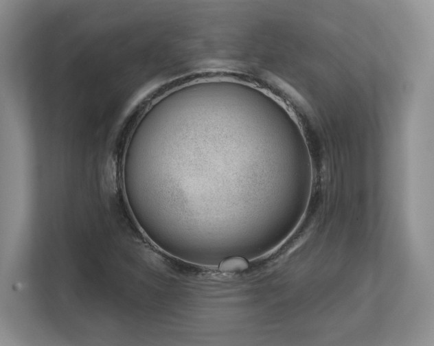 X0000112741310200908201338