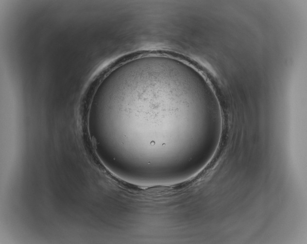 X0000112741311200908201338