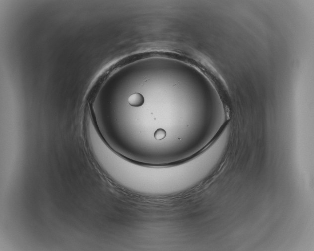X0000112741312200908201338