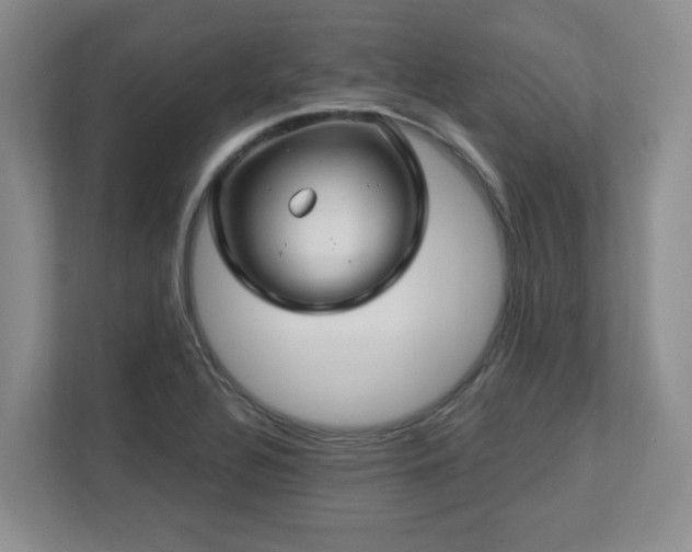 X0000112741320200908201338
