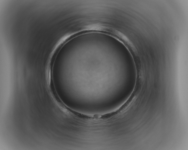 X0000112741323200908201338