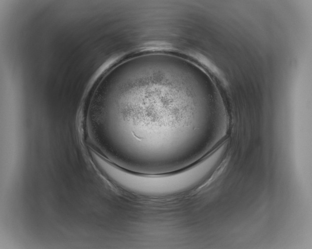 X0000112741325200908201338