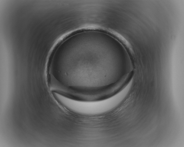 X0000112741327200908201338