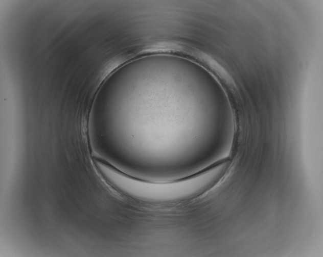 X0000112741329200908201338