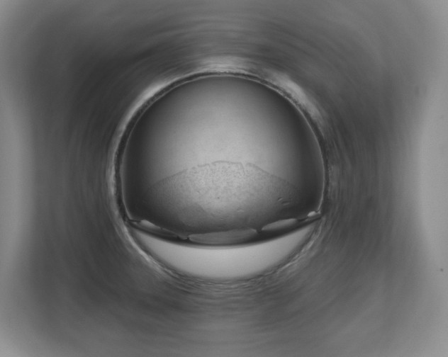 X0000112741331200908201338