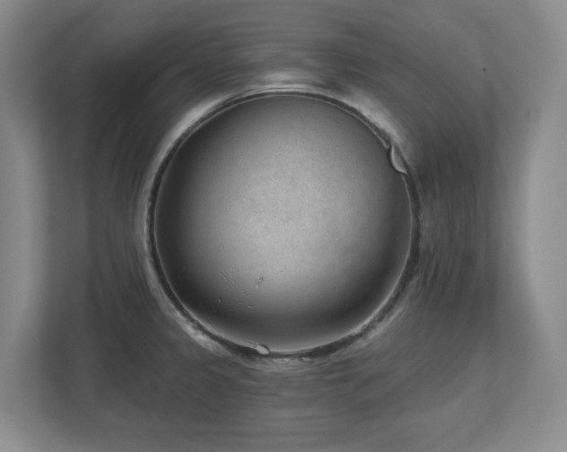 X0000112741333200908201338