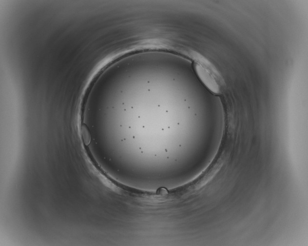 X0000112741334200908201338