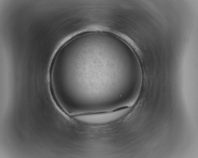 X0000112741335200908201338